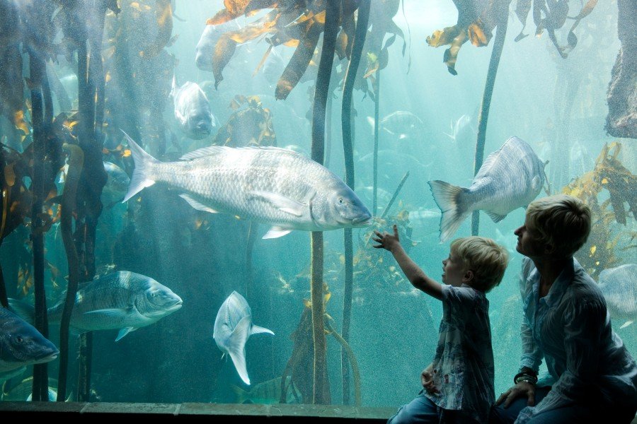 Waterfront 2 Waterfront 2