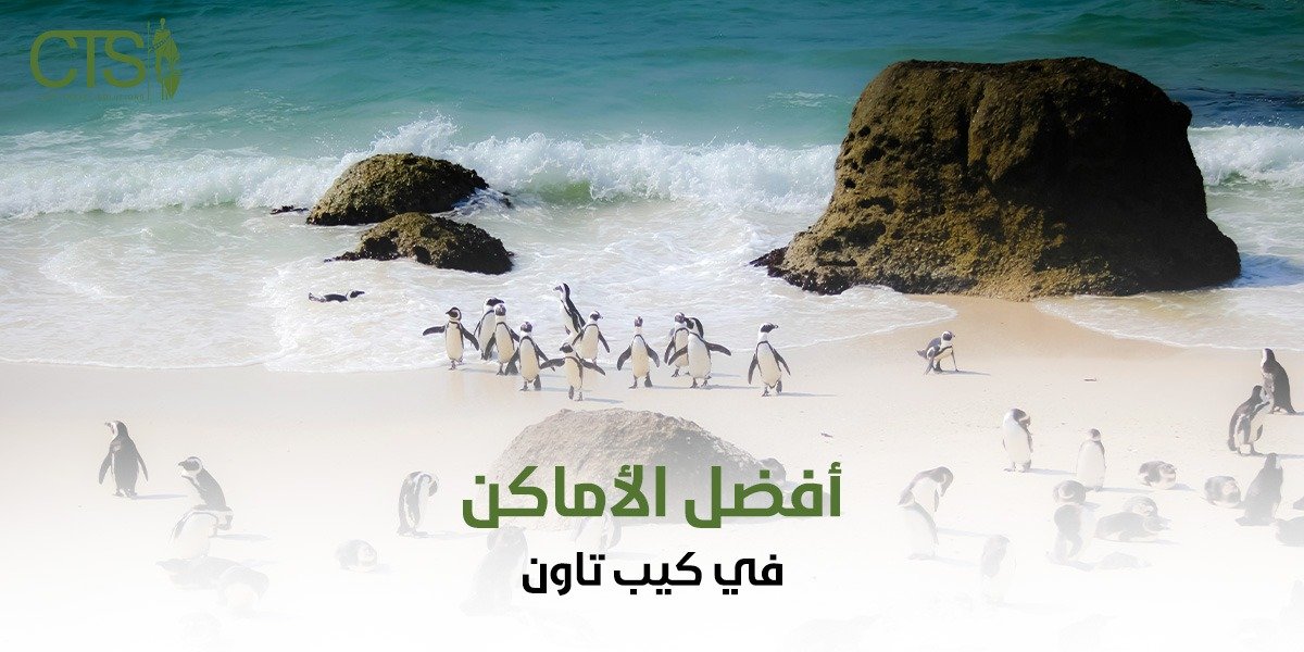 أفضل الأماكن في كيب تاون